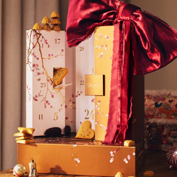 Summerbird-julekalender-stor