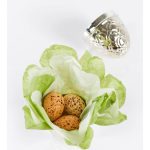 Summerbird-Solvaeg-2026-Paaskeaeg-mini-indhold